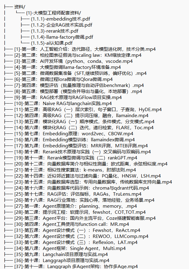 大模型應(yīng)用開發(fā)-模型訓練-RAG-Agent-AI項目實戰(zhàn) 視頻教程 下載 圖1